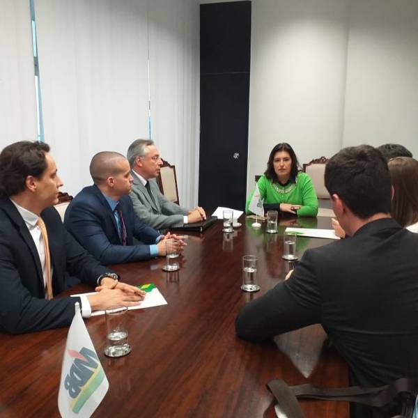 Comitê Jurídico discute reforma tributária em Brasília