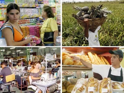 MPEs otimistas quanto aos negócios em 2011