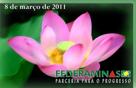 Dia Internacional da Mulher