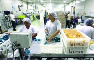Elos comerciais para ampliar as exportações